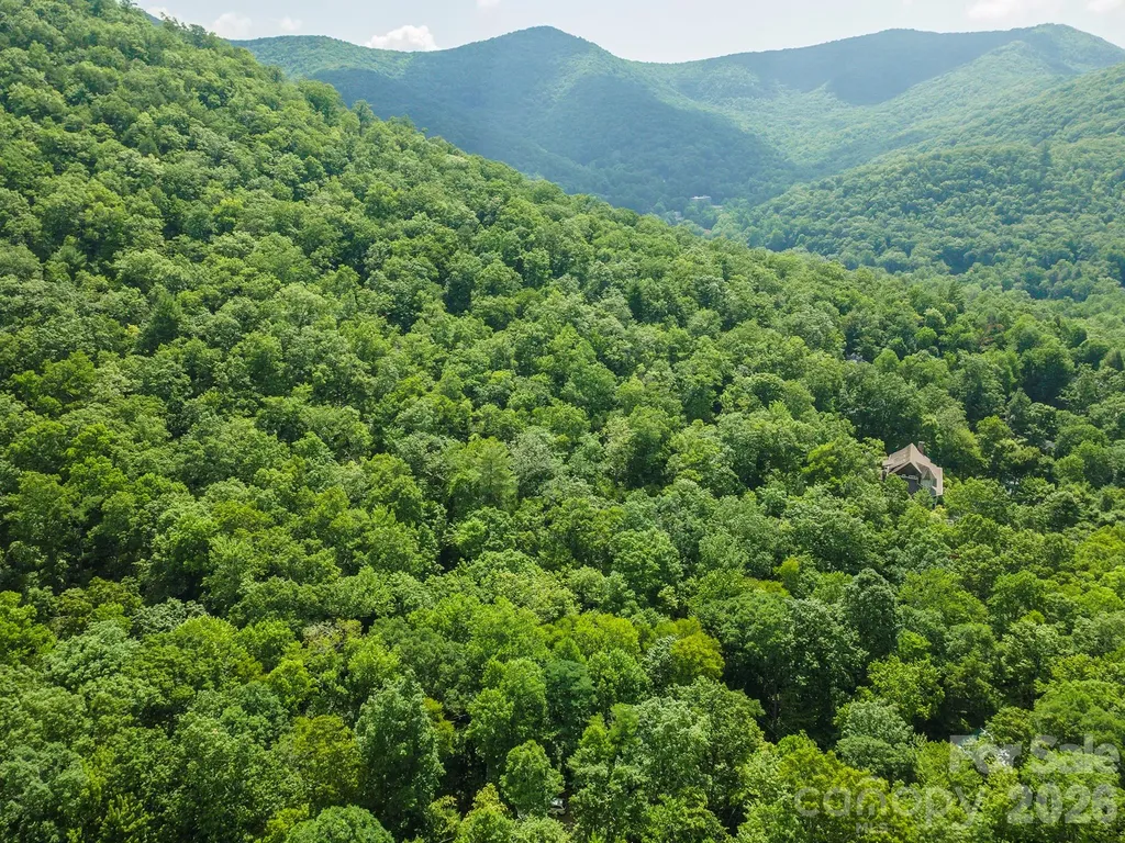 212 Harmony Lane Montreat NC 28757