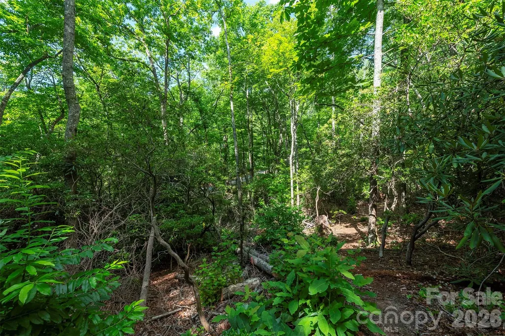 212 Harmony Lane Montreat NC 28757