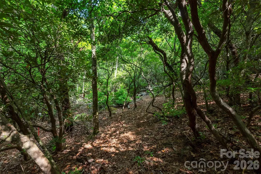 212 Harmony Lane Montreat NC 28757