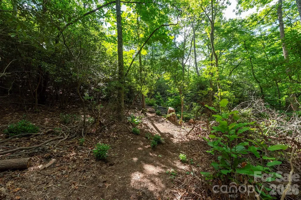 212 Harmony Lane Montreat NC 28757