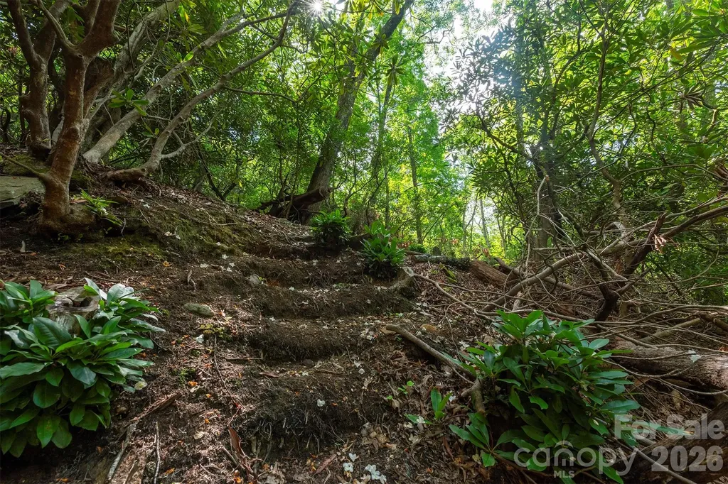212 Harmony Lane Montreat NC 28757
