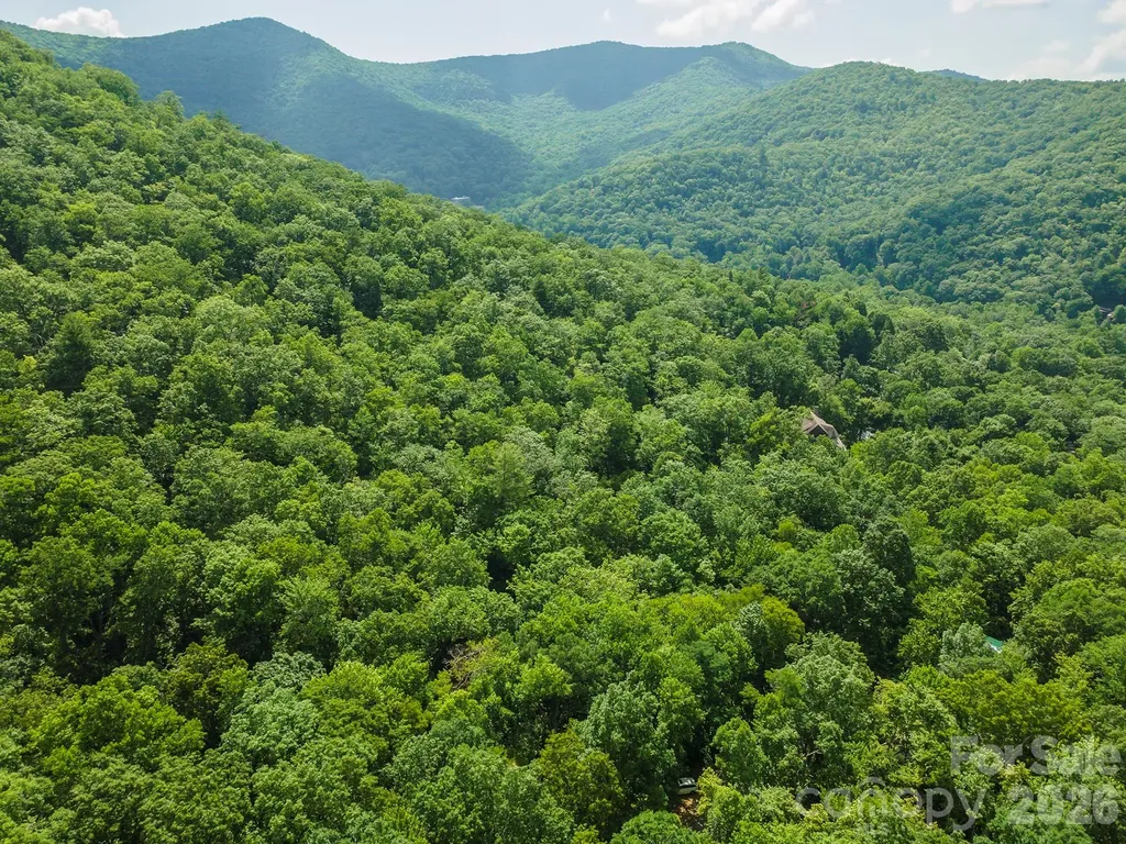 212 Harmony Lane Montreat NC 28757
