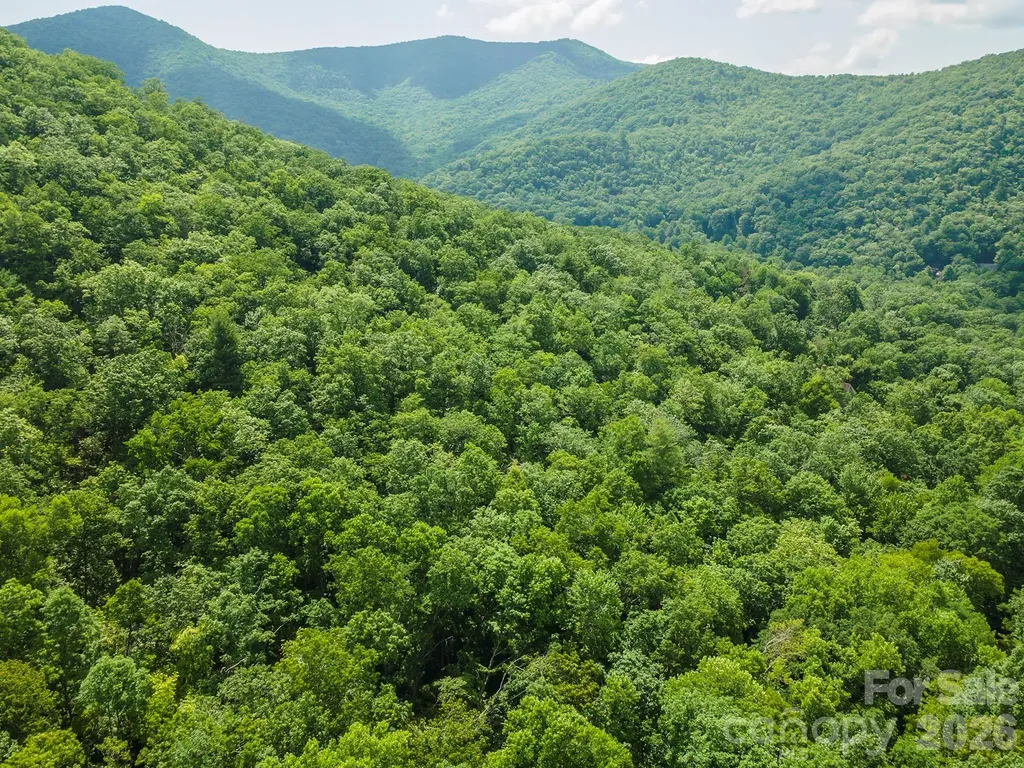 212 Harmony Lane Montreat NC 28757