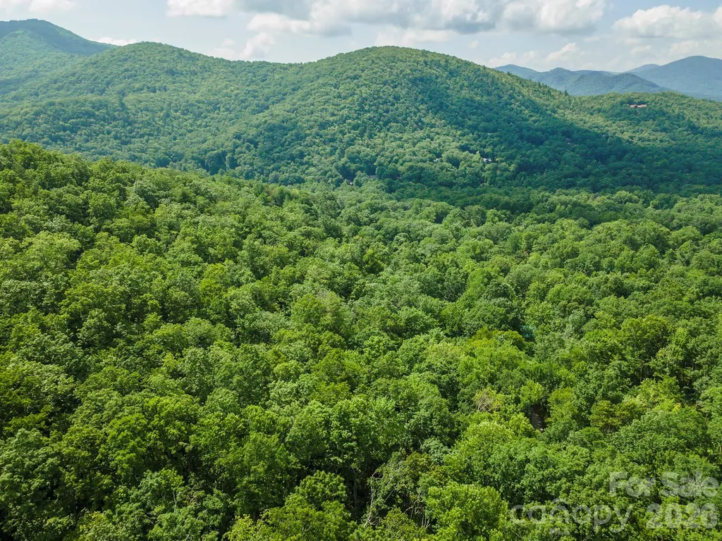 212 Harmony Lane Montreat NC 28757