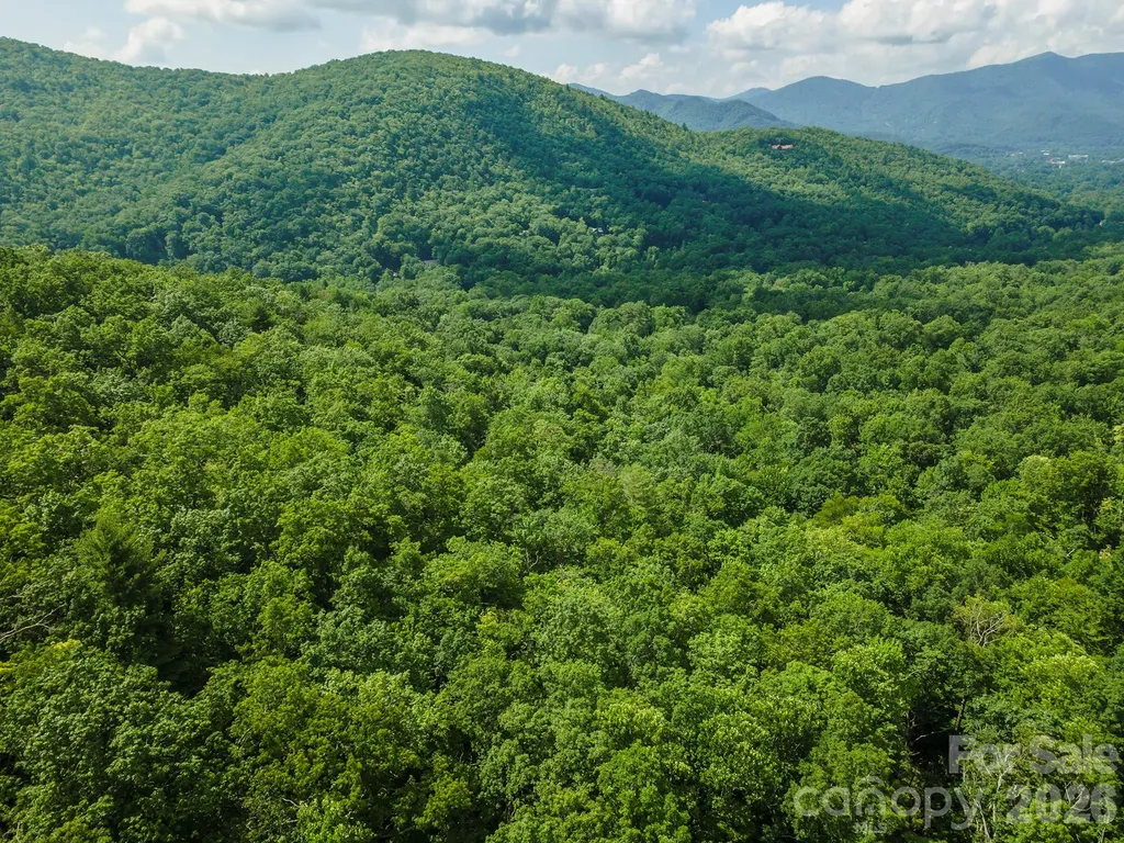 212 Harmony Lane Montreat NC 28757
