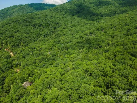 212 Harmony Lane Montreat NC 28757