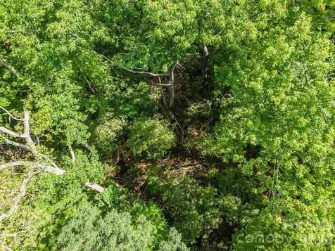 212 Harmony Lane Montreat NC 28757