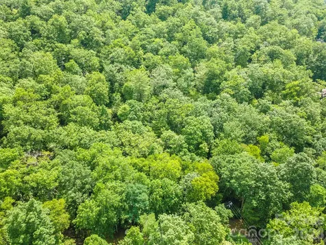 212 Harmony Lane Montreat NC 28757