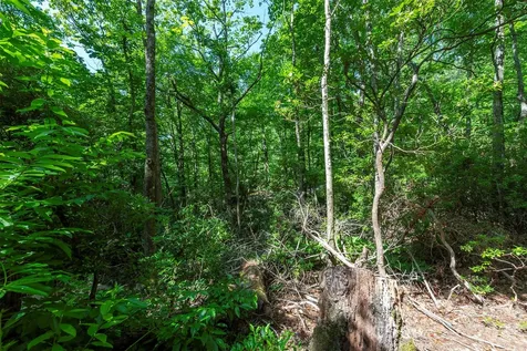 212 Harmony Lane Montreat NC 28757