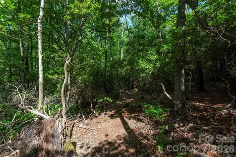 212 Harmony Lane Montreat NC 28757
