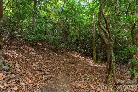 212 Harmony Lane Montreat NC 28757