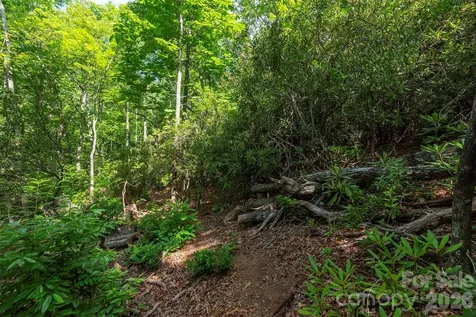 212 Harmony Lane Montreat NC 28757