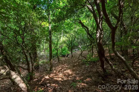 212 Harmony Lane Montreat NC 28757