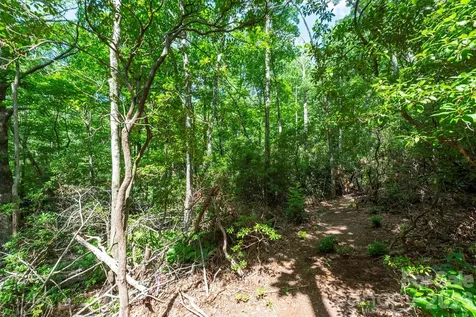 212 Harmony Lane Montreat NC 28757