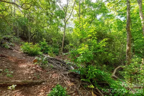 212 Harmony Lane Montreat NC 28757