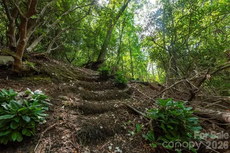 212 Harmony Lane Montreat NC 28757