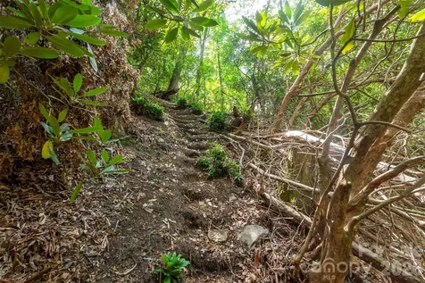 212 Harmony Lane Montreat NC 28757