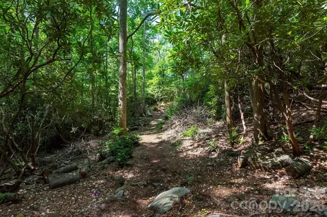 212 Harmony Lane Montreat NC 28757