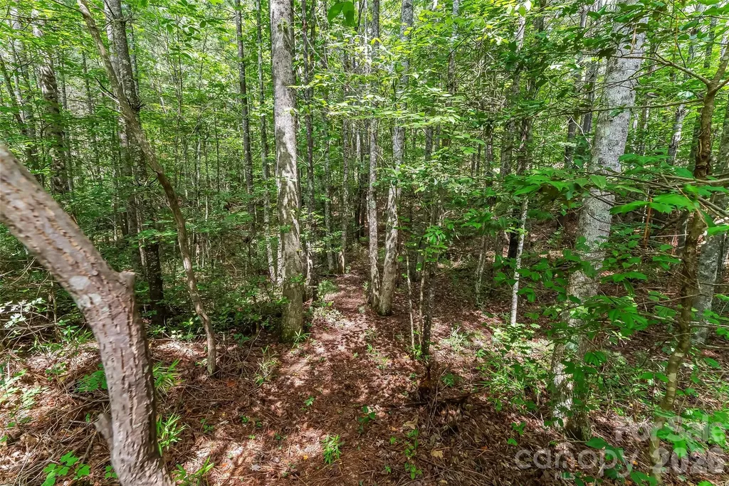 5941 Collette Ridge Circle Collettsville NC 28611