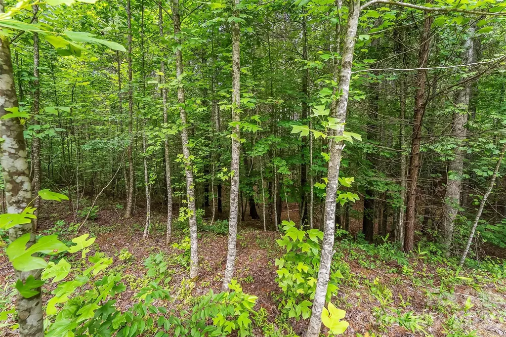 5941 Collette Ridge Circle Collettsville NC 28611