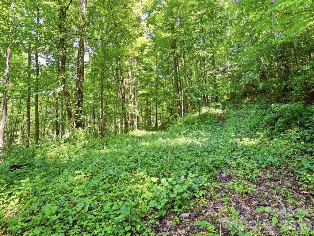 252 Big Stomp Road Waynesville NC 28786