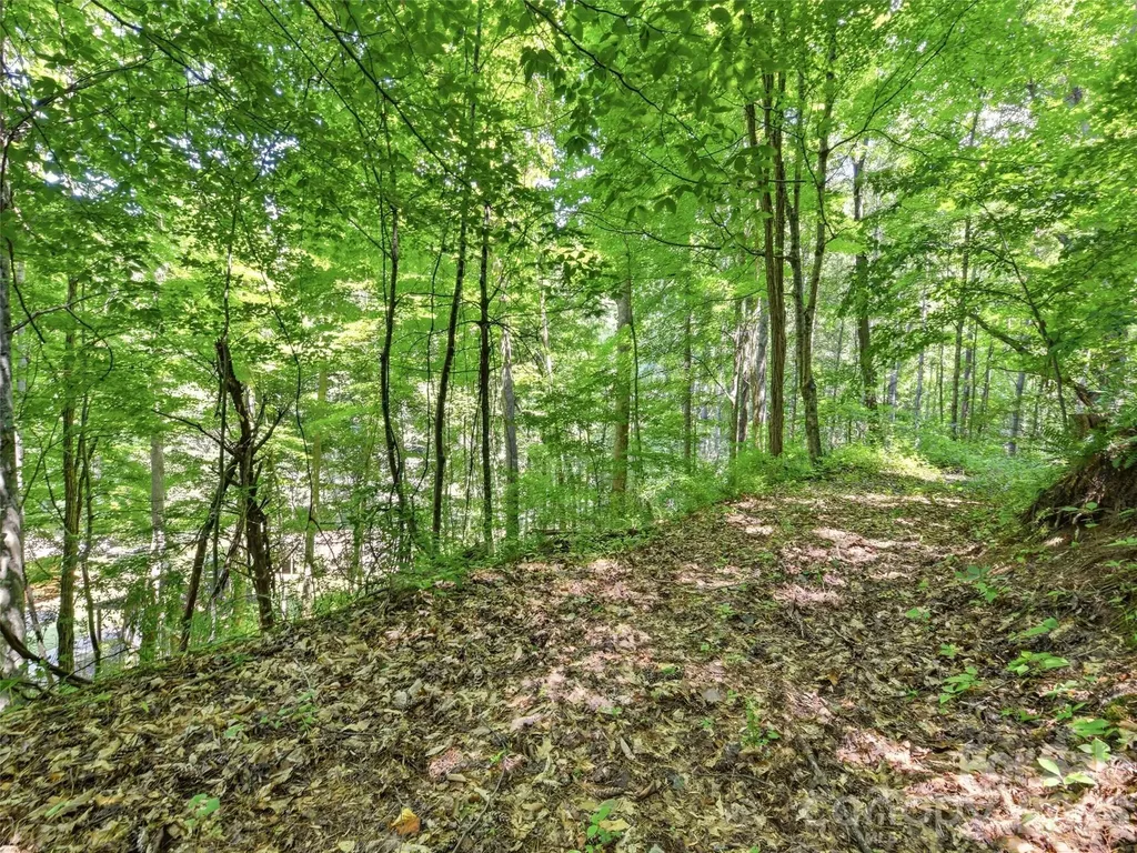 252 Big Stomp Road Waynesville NC 28786