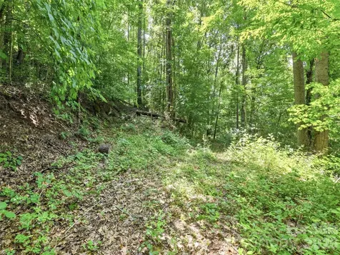 252 Big Stomp Road Waynesville NC 28786