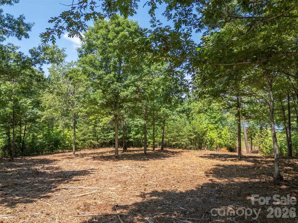 00 Doveridge Drive Columbus NC 28722