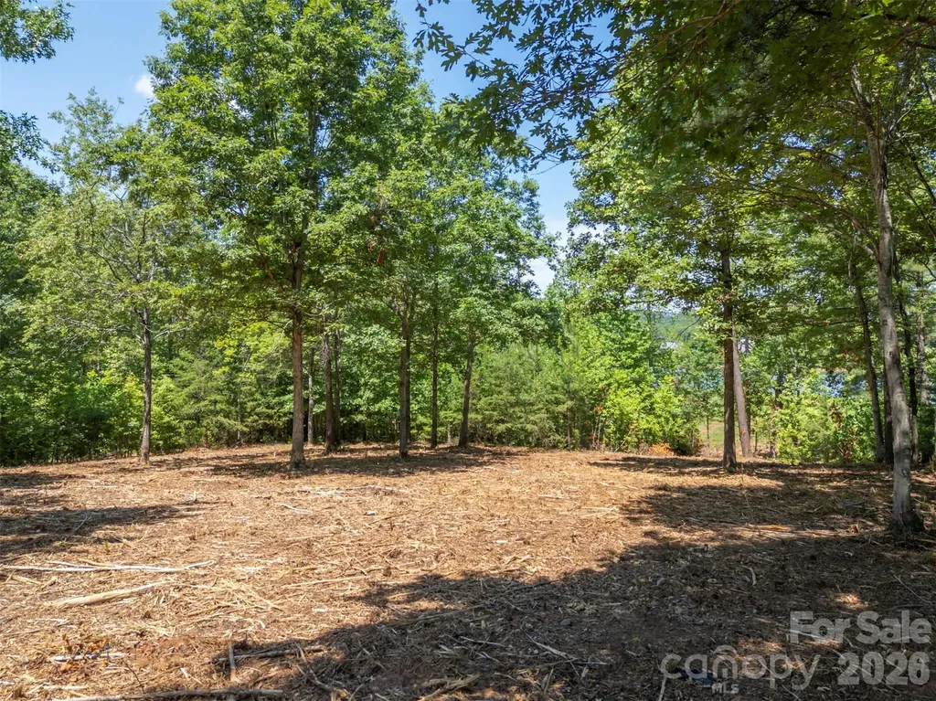 00 Doveridge Drive Columbus NC 28722