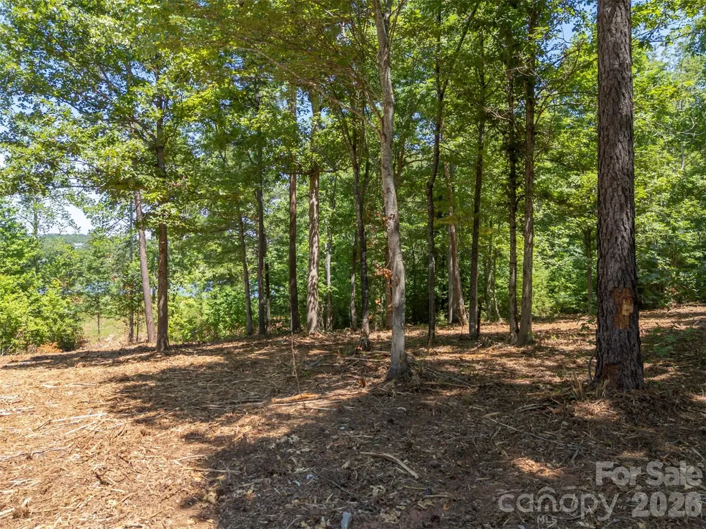 00 Doveridge Drive Columbus NC 28722