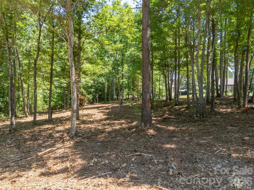 00 Doveridge Drive Columbus NC 28722