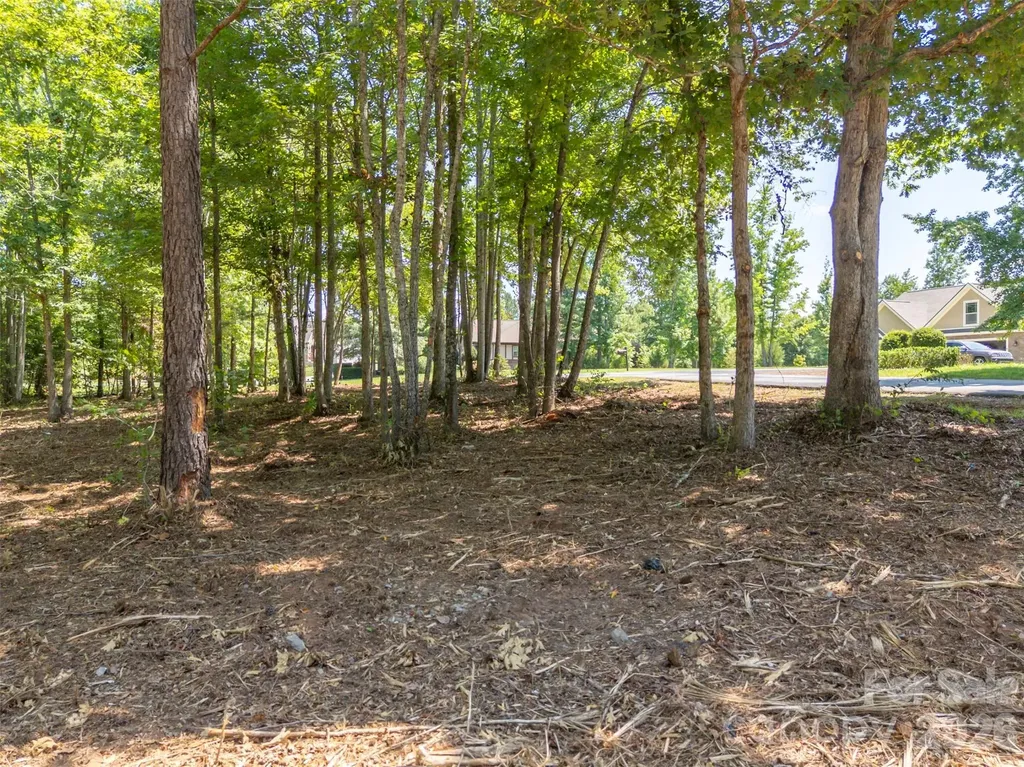 00 Doveridge Drive Columbus NC 28722