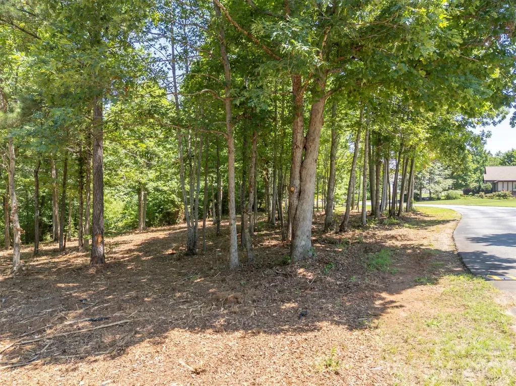 00 Doveridge Drive Columbus NC 28722