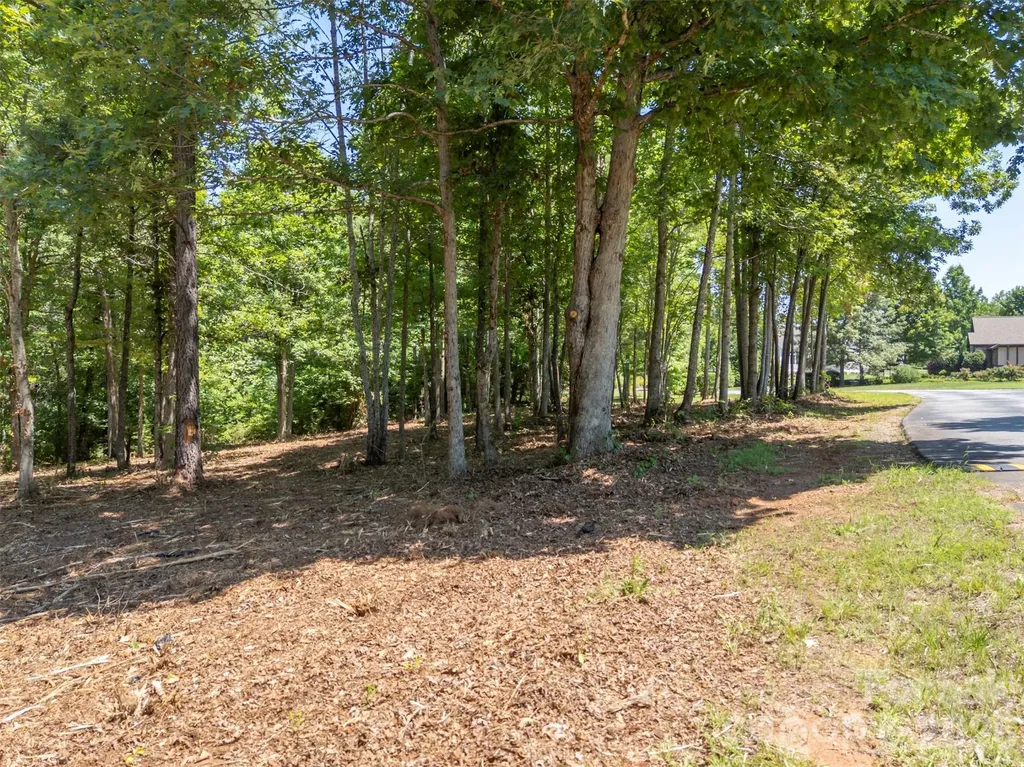 00 Doveridge Drive Columbus NC 28722