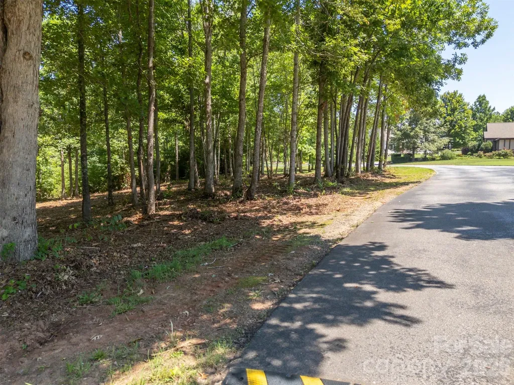 00 Doveridge Drive Columbus NC 28722