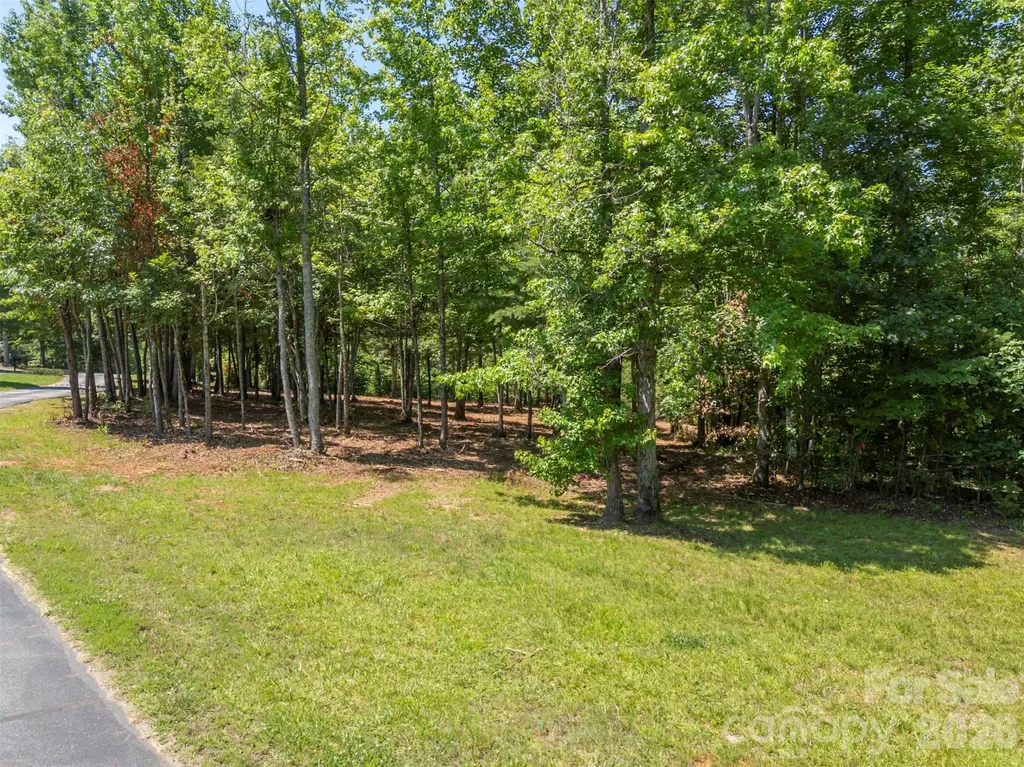 00 Doveridge Drive Columbus NC 28722