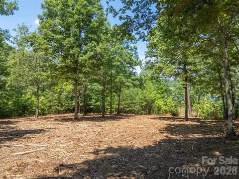 00 Doveridge Drive Columbus NC 28722
