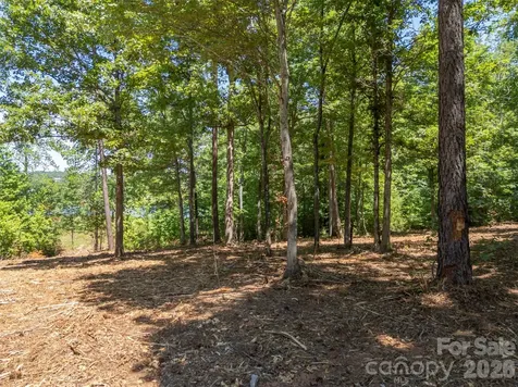 00 Doveridge Drive Columbus NC 28722