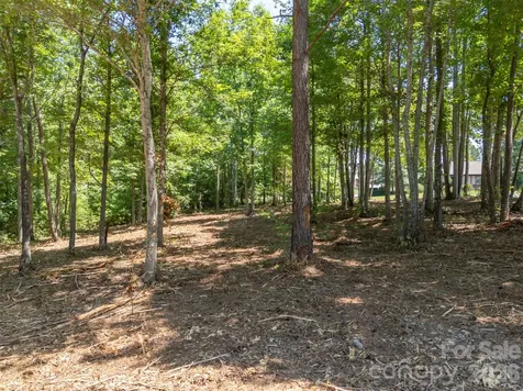 00 Doveridge Drive Columbus NC 28722