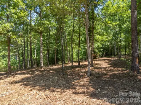 00 Doveridge Drive Columbus NC 28722