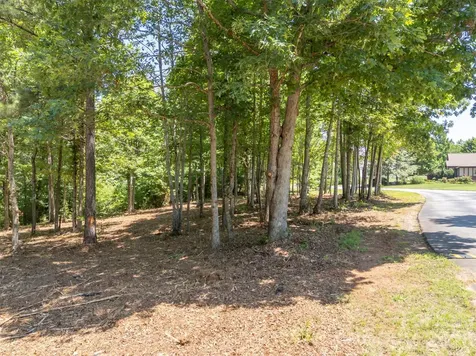 00 Doveridge Drive Columbus NC 28722