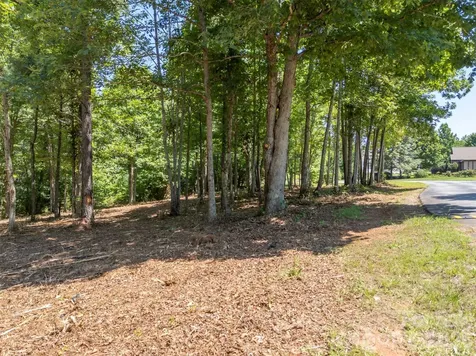 00 Doveridge Drive Columbus NC 28722