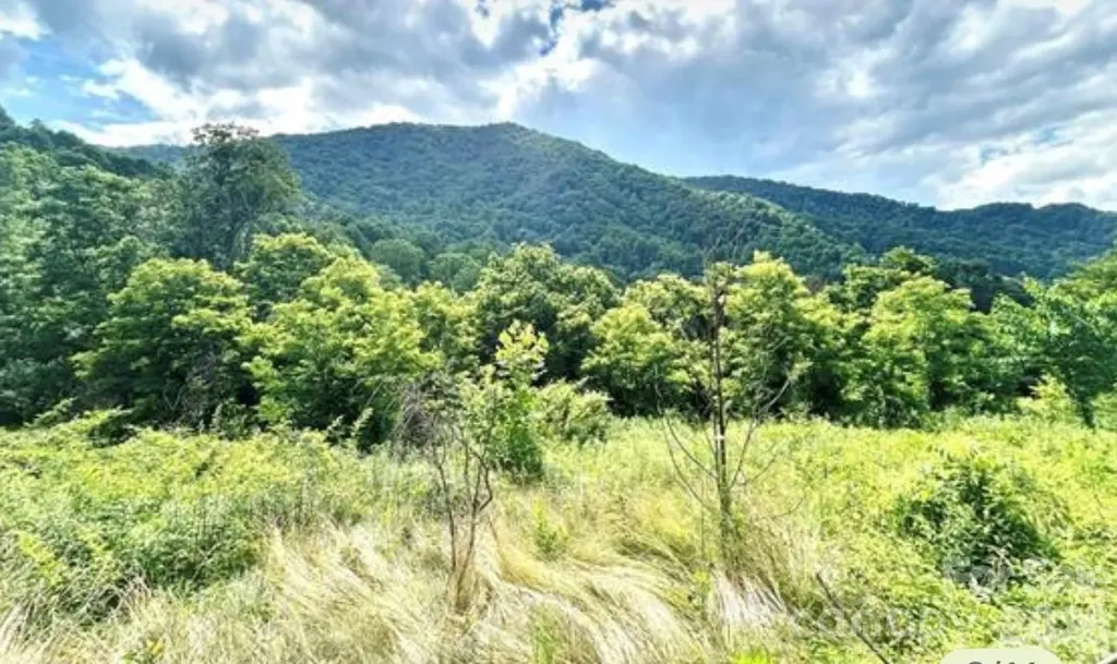 00 Split Pine Cove Clyde NC 28721