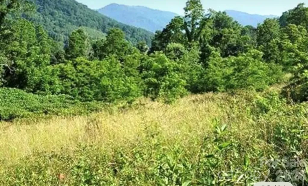 00 Split Pine Cove Clyde NC 28721