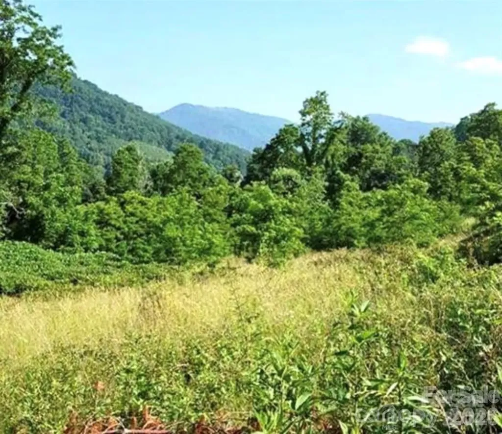 00 Split Pine Cove Clyde NC 28721