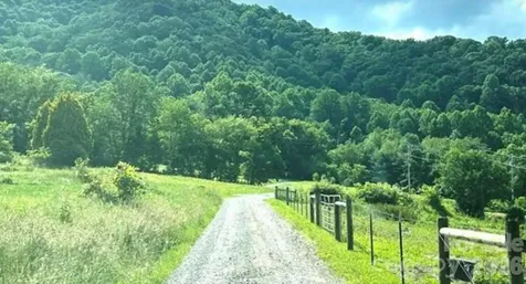 00 Split Pine Cove Clyde NC 28721
