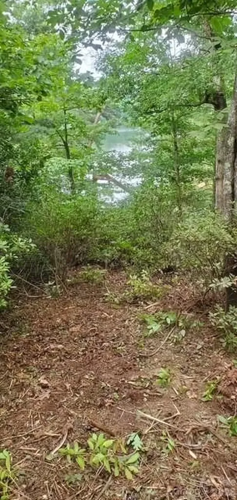 Tbd Main Channel Point Granite Falls NC 28630