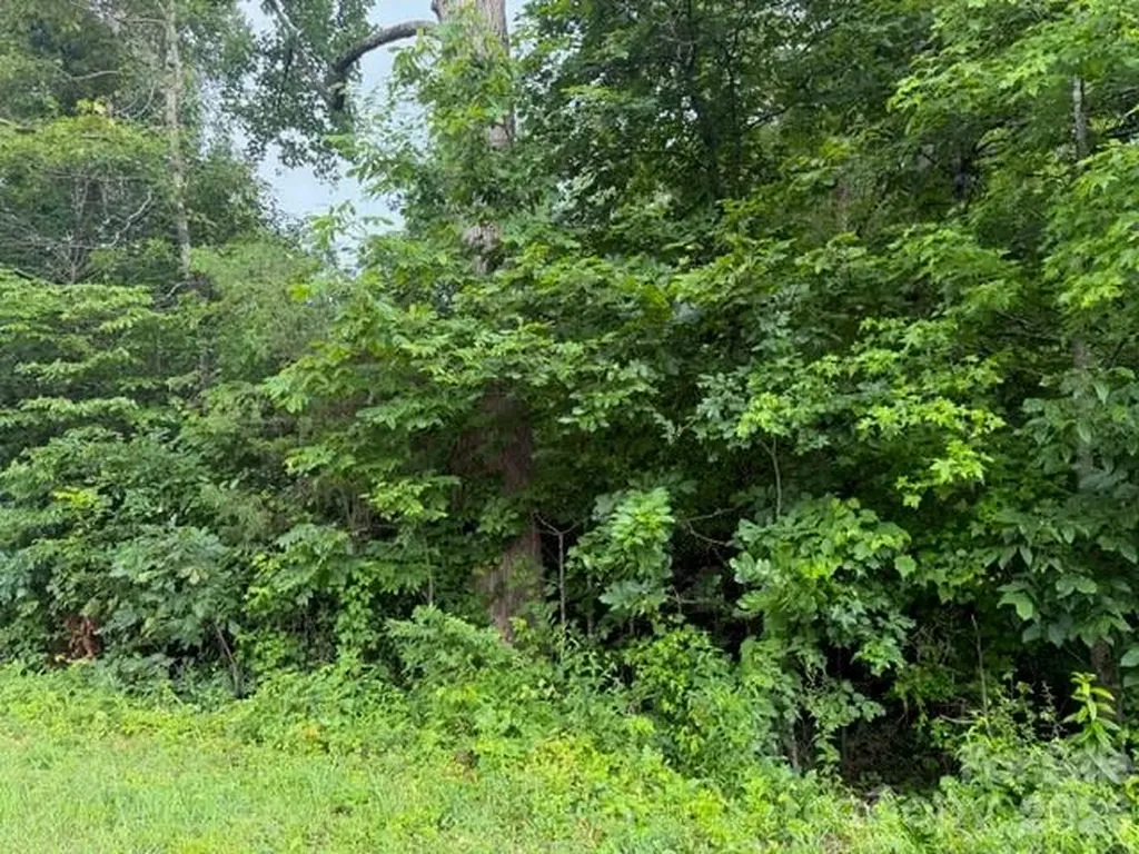 00 Bill Collins Road Columbus NC 28722