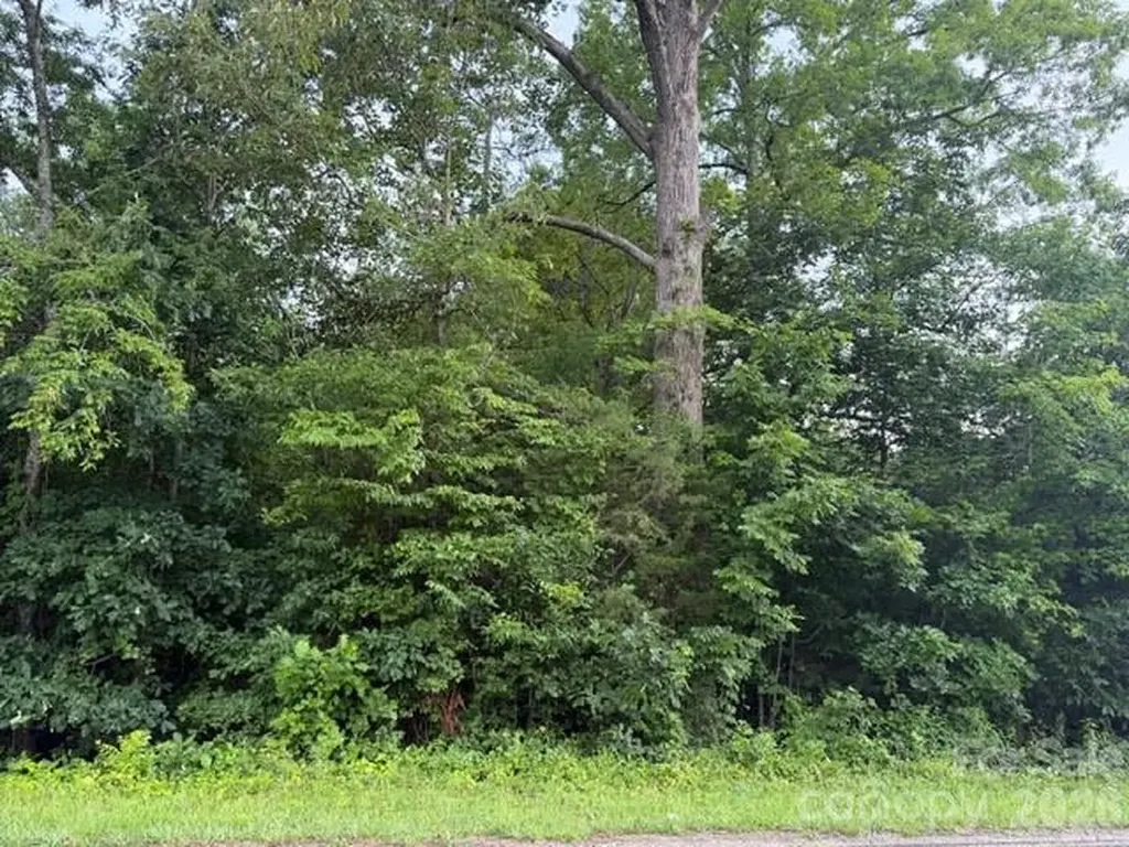 00 Bill Collins Road Columbus NC 28722