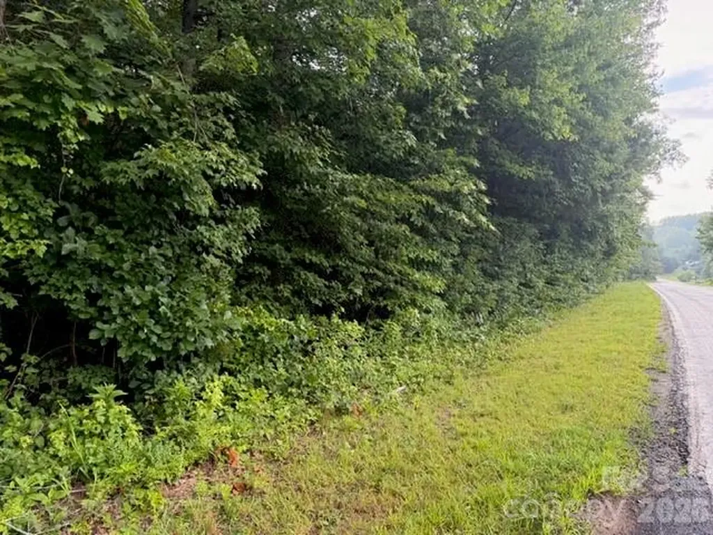 00 Bill Collins Road Columbus NC 28722